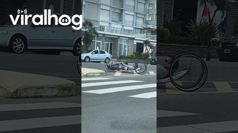 Man Riding a Hand Bike || ViralHog