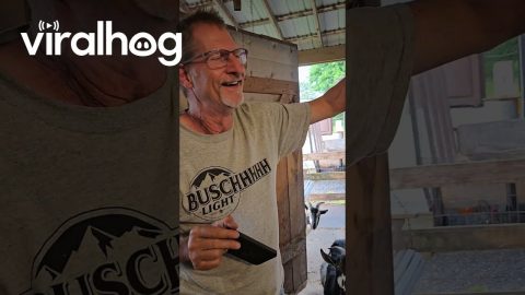 Husband's Knuckle Stuck In Screw Eye || ViralHog