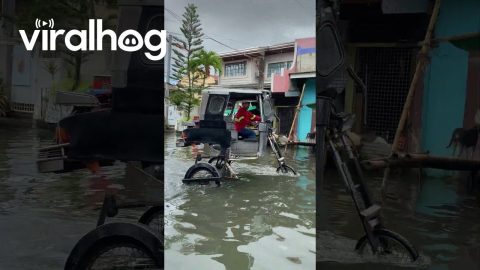 Lifted Autorickshaw Drives Through Floodwater || ViralHog