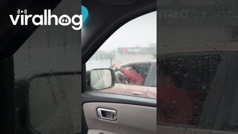 No Windshield Wipers, No Problem || ViralHog