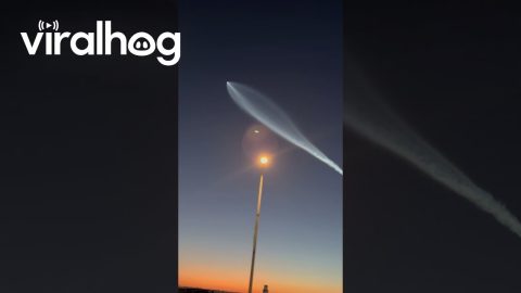 Starlink Satellites Launched From Vandenberg Space Force Base || ViralHog