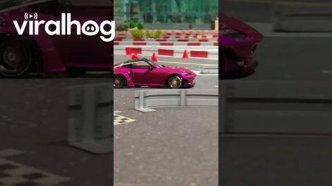 Roar of a Souped-Up RC Car || ViralHog