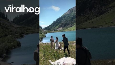 Couple's Dog Joins In On Elopement Vows || ViralHog