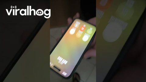 Late-Night Electrician Falls Asleep On Call || ViralHog