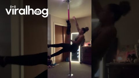 Pole Dancing Cat Makes the Best Pole Dancing Partner || ViralHog