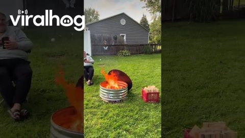 Grandpa's Fishing Pole Baseball || ViralHog