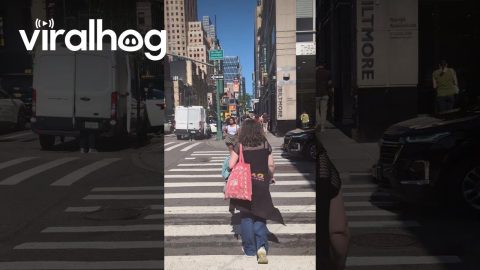 Powerful Strut Humbles Nearby Pedestrian || ViralHog