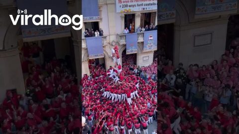 9-Person-Tall Human Tower in Valls, Spain || ViralHog