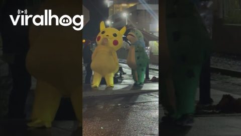 Inflatable Pikachu and Frog Embrace During Portland Protests || ViralHog