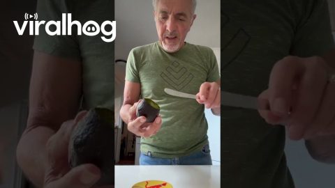 Further Explaining the Avocado Life Hack || ViralHog