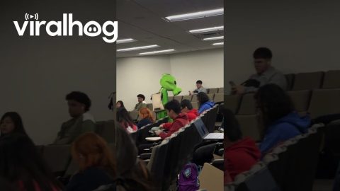 Peashooter Pursues Higher Education || ViralHog