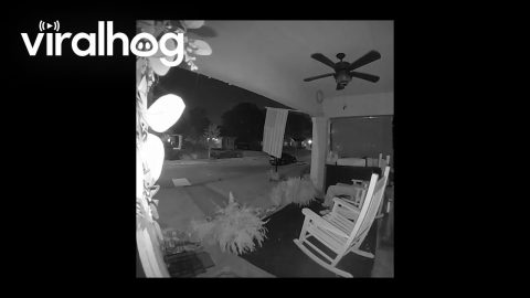 Creepy Man Makes Himself At Home On Stranger's Porch || ViralHog