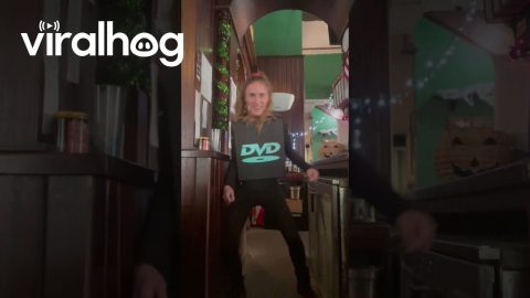 DVD Costume || ViralHog