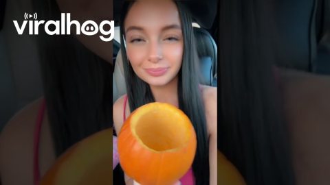 Pumpkin Spice Latte in a Pumpkin || ViralHog