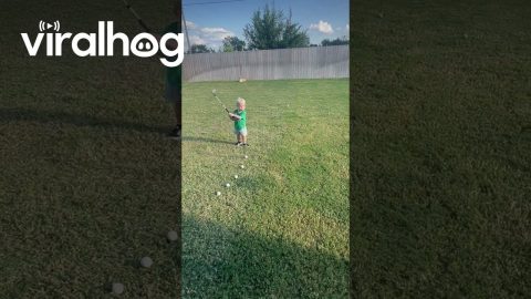 2 Year Old Practices His Swing After Daycare || ViralHog