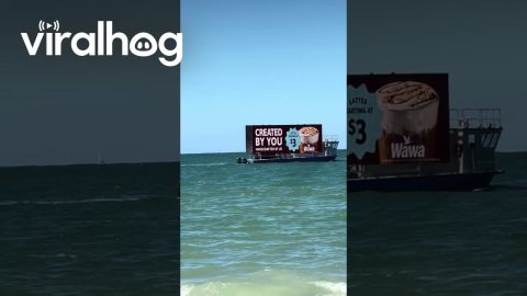 Ad Boat in Florida || ViralHog
