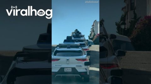 Line Of Spinning Minion Cars || ViralHog