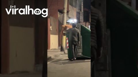 Rescuing a Giant Teddy Bear From the Garbage || ViralHog