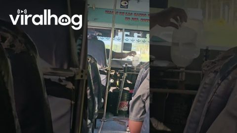 Bus Driver Becomes DIY Mechanic || ViralHog