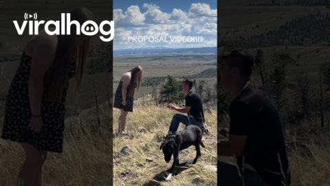 Man Proposes With a Skadoosh || ViralHog