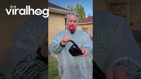 Brad Byers Cuts an Apple Held in His Teeth With a Chainsaw While Blindfolded || ViralHog