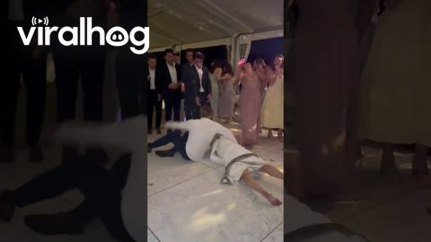 Wedding Dance Fall to Worm || ViralHog