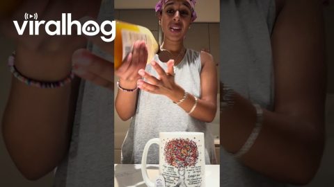 Honey Snaps Back || ViralHog