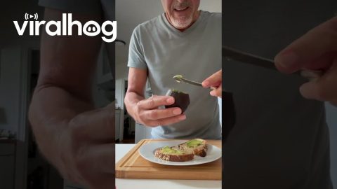 Avocado Cutting Hack Keeps Fruit Green || ViralHog