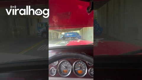 Garbage Truck Stuck in a Tunnel || ViralHog