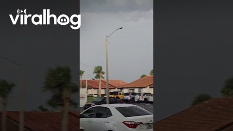 Tornado In Residential Florida Swirls Sheet Metal || ViralHog