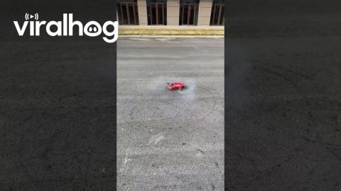 I Revived an Old Gas-Powered RC || ViralHog