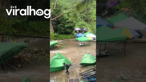 Flash Flood Interrupts Picnics In Thailand || ViralHog