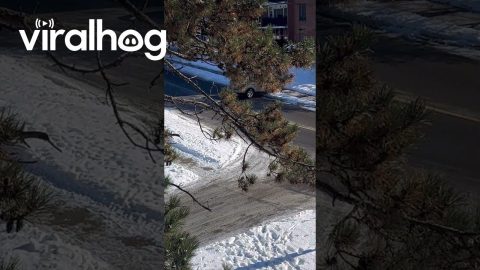 Canadian Drivers Prevent Crashes While Sliding On Slick Road || ViralHog