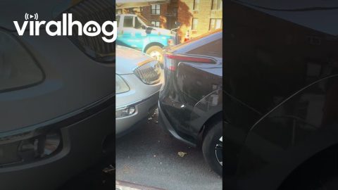 Incredibly Tight Parking In The Bronx || ViralHog