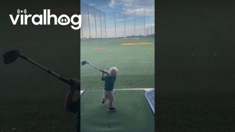 World's Next Golf Star Takes Confident Swing || ViralHog