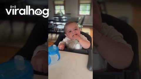 Baby Spits Out Mac and Cheese || ViralHog