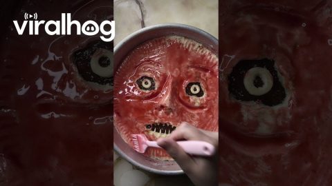 Creepy Halloween Tart || ViralHog