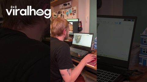 3D Printing a Unique Wall Patch || ViralHog