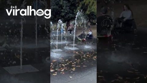 Go-Karts Zig Zag Through a Fountain || ViralHog