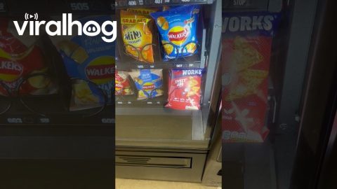 Three Crisps, One Payment || ViralHog