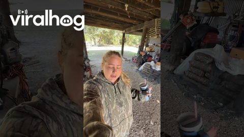 Turkey Imitates Gargling Water || ViralHog