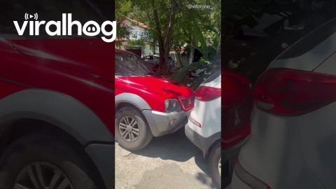 Came Back to a Tight Parking Situation || ViralHog