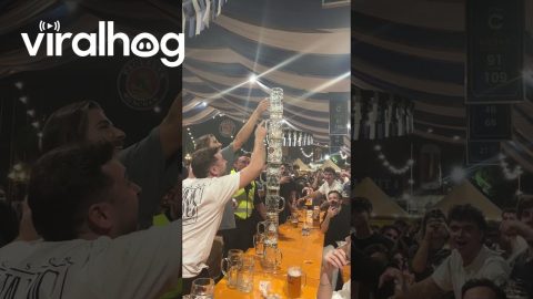 Oktoberfest Stein Tower || ViralHog
