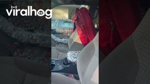 Toyota 4runner Meticulously Covered In Stickers || ViralHog