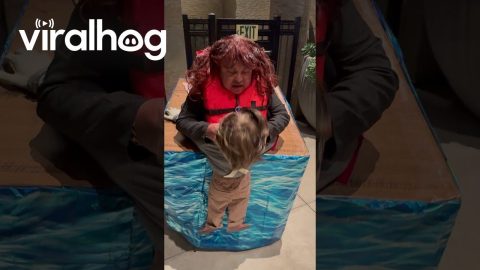 Funny Jack and Rose Costume || ViralHog