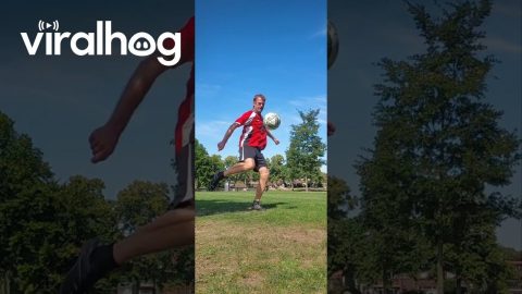 Fake Volley Back Spin Heel Kick || ViralHog