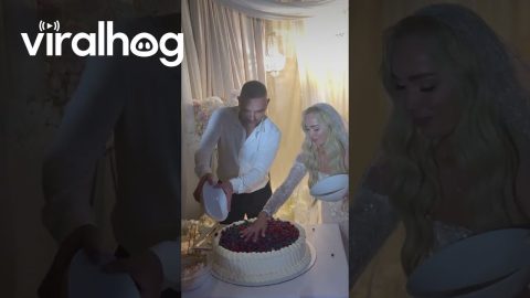 Groom Pushes Cake Off the Table || ViralHog