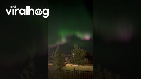 Witnessing the Magic of the Northern Lights || ViralHog