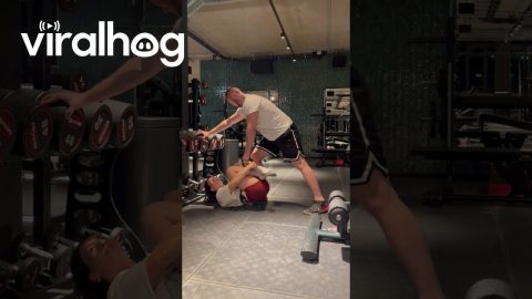 Girls Bodyweight Is a Dumbbell || ViralHog