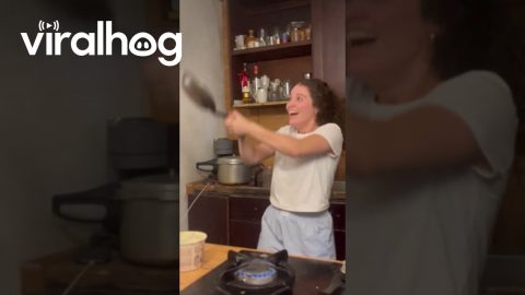 Girl Nails Pancake Flip || ViralHog